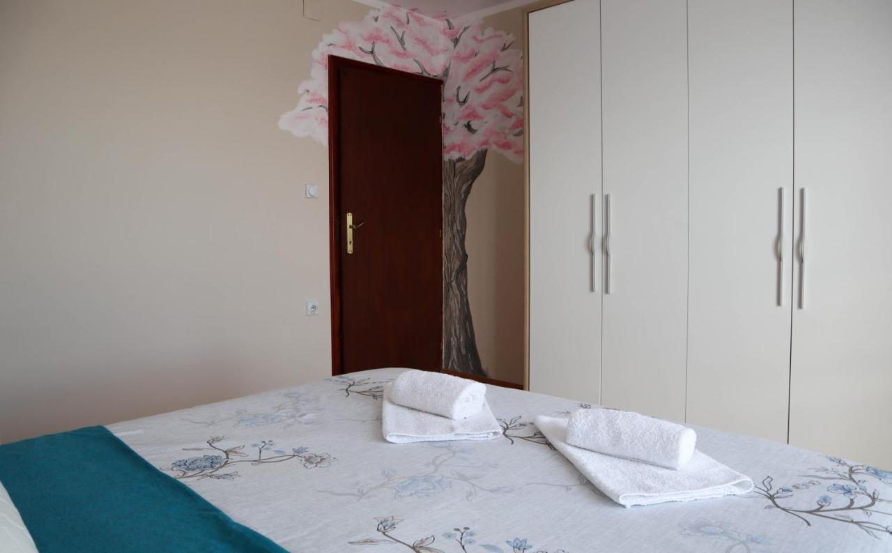 Domacinstvo Sindelic Hotel อิวานยิซา ภายนอก รูปภาพ