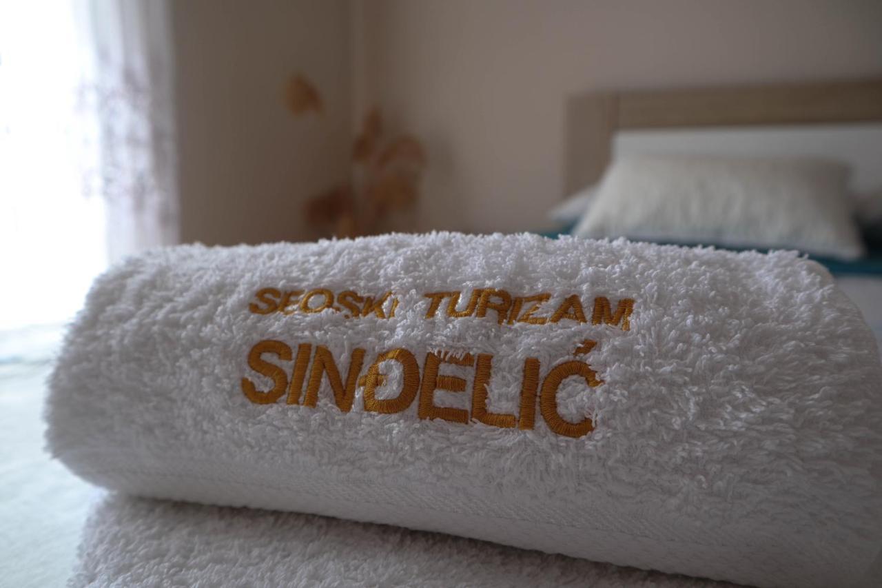 Domacinstvo Sindelic Hotel อิวานยิซา ภายนอก รูปภาพ